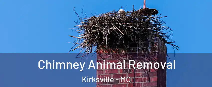  Chimney Animal Removal Kirksville - MO