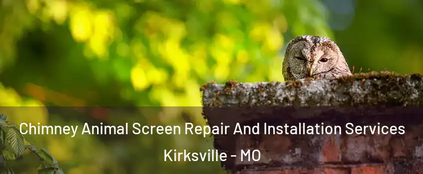  Chimney Animal Screen Repair And Installation Services Kirksville - MO