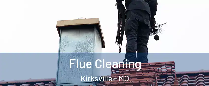  Flue Cleaning Kirksville - MO