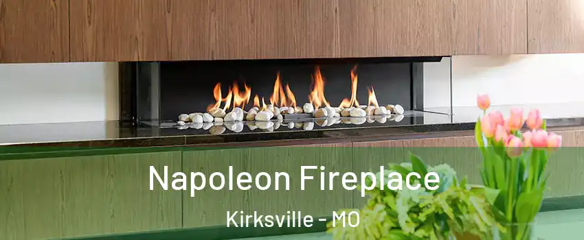 Napoleon Fireplace Kirksville - MO